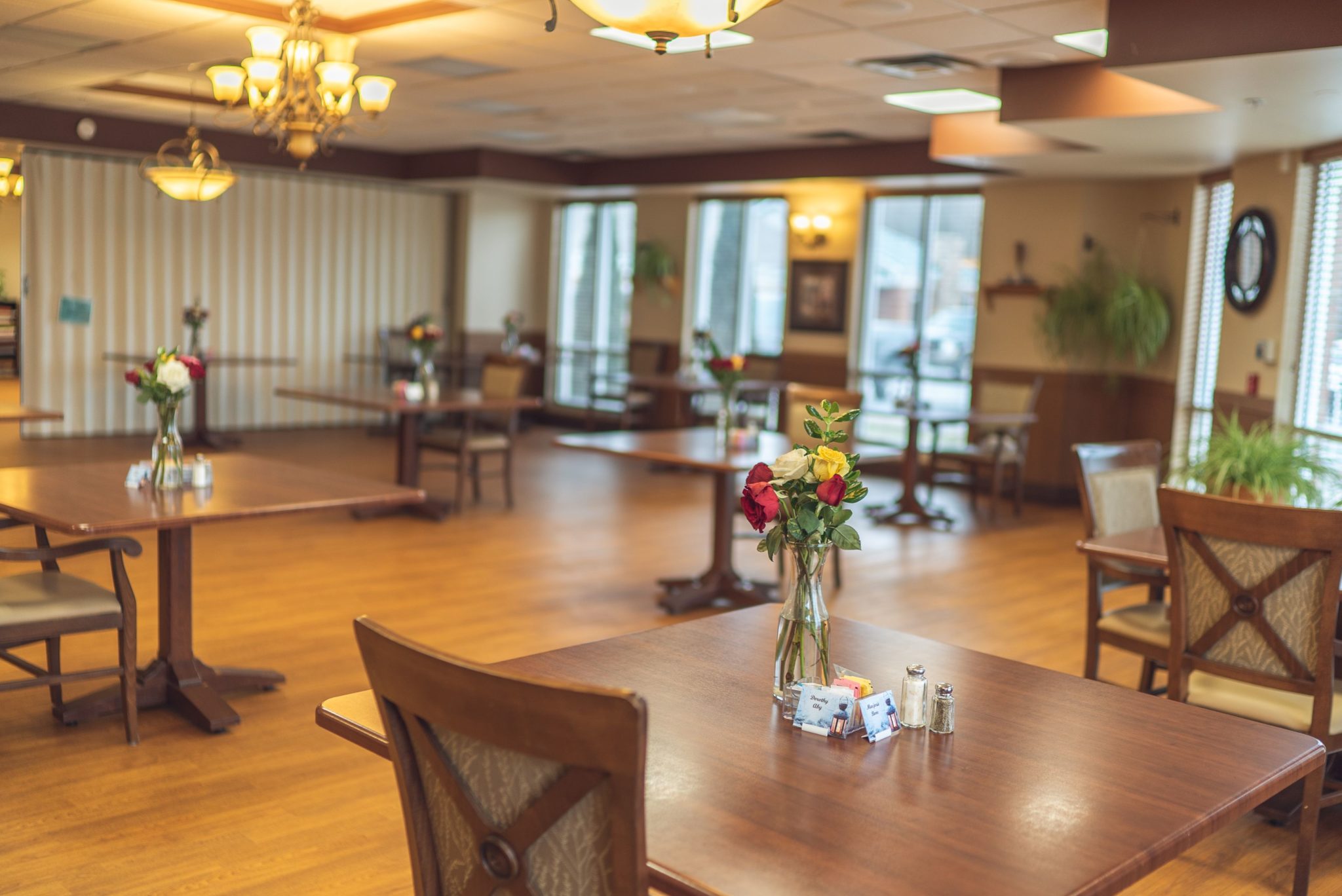 Brethren Care Health Care Center - Brethren Care Village